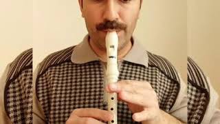 Kırlara Doğru 7.Sınıf Müzik Blok Flüt Çalınışı