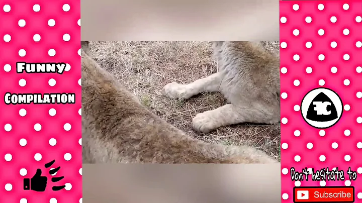 TRY NOT TO LAUGH or GRIN | Funny Kids Fails Compilation 2018 | Best Funny Kids & Animals Videos 2018