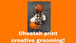 Award Winning Cheetah/Leopard Print Creative Grooming