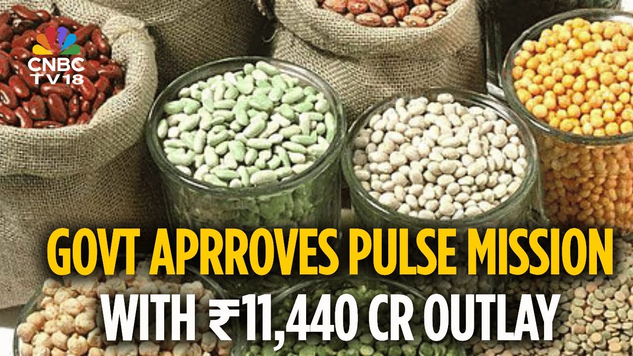 Правительство запускает миссию по сбору бобовых, которая принесет пользу 200 миллионам фермеров з...