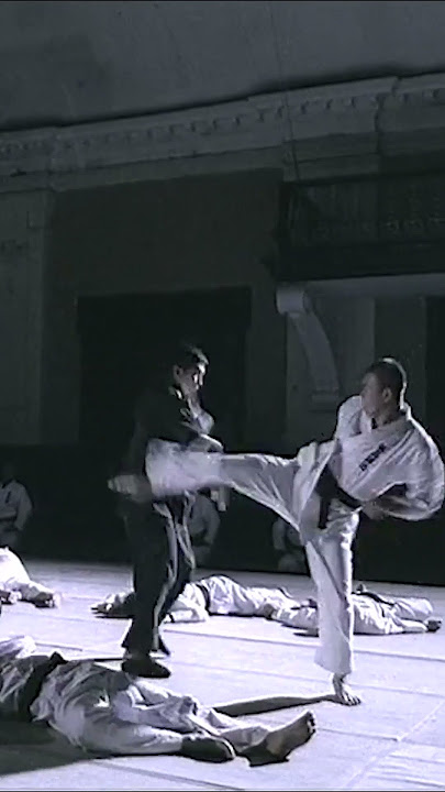 DONNIE YEN Doesn't Like This Guy | IP MAN (2008) #shorts