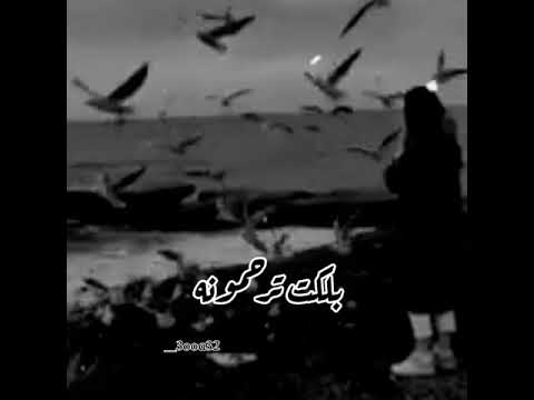 محمد الحلفي رايحين وهذا گلبي ميت تعوفونه حالات واتس اب حزينه دعمكم فدوه