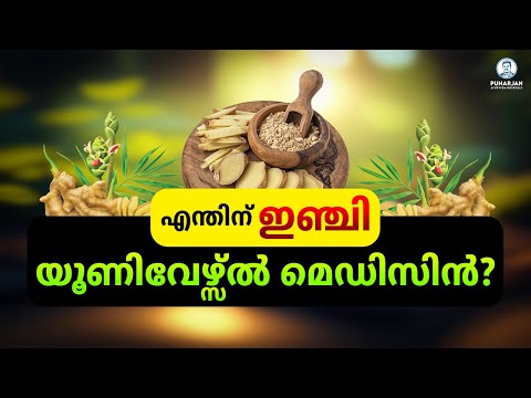 എന്തിന് ഇഞ്ചി യൂണിവേഴ്സൽ മെഡിസിൻ? || Why GINGER Called Universal Medicine? || Punarjan Ayurveda