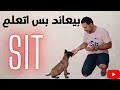 ازاي تدرب كلبك علي امر اقعد  مع كابتن شريف شحاته وترامب