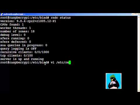 Raspberry Pi DNS Server Raspberry Pi DNS Server