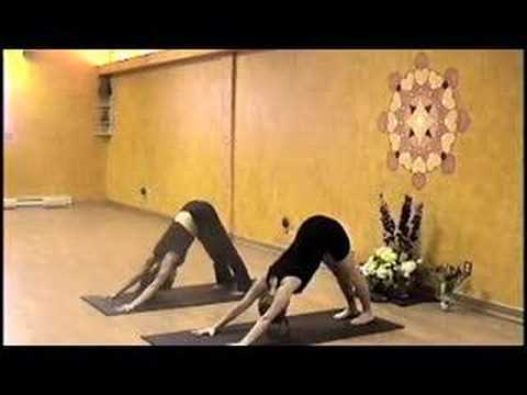 Surya namaskar B