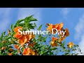 [Piano] 여름의 시작을 알리는 싱그러운 피아노 연주곡 l GRASS COTTON+