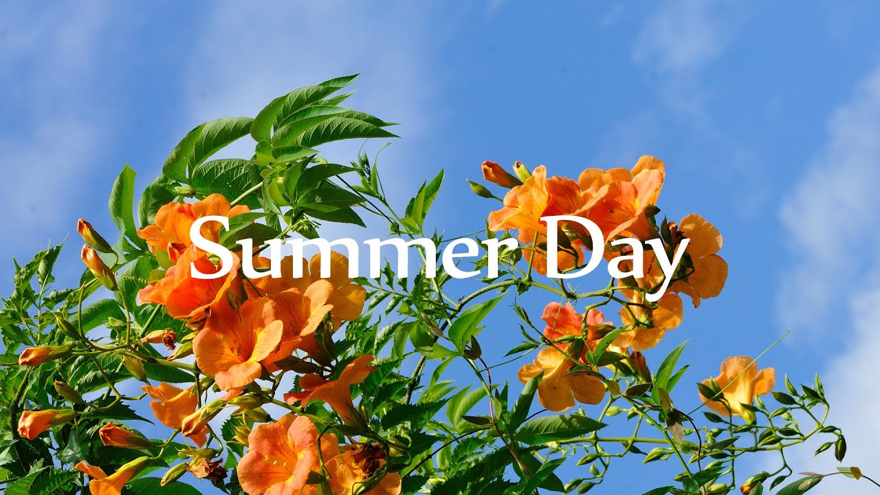 [Piano] 여름의 시작을 알리는 싱그러운 피아노 연주곡 l GRASS COTTON+ YouTube