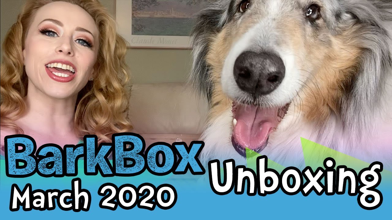 Bark Box - March 2020 Unboxing!