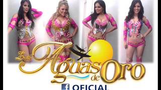 Versión 3 del video