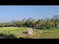 Nagercoil, TamilNadu, Thiruvananthapuram to Kanyakumari, Tamil Nadu, Day 2 of Kerala trip March 2026