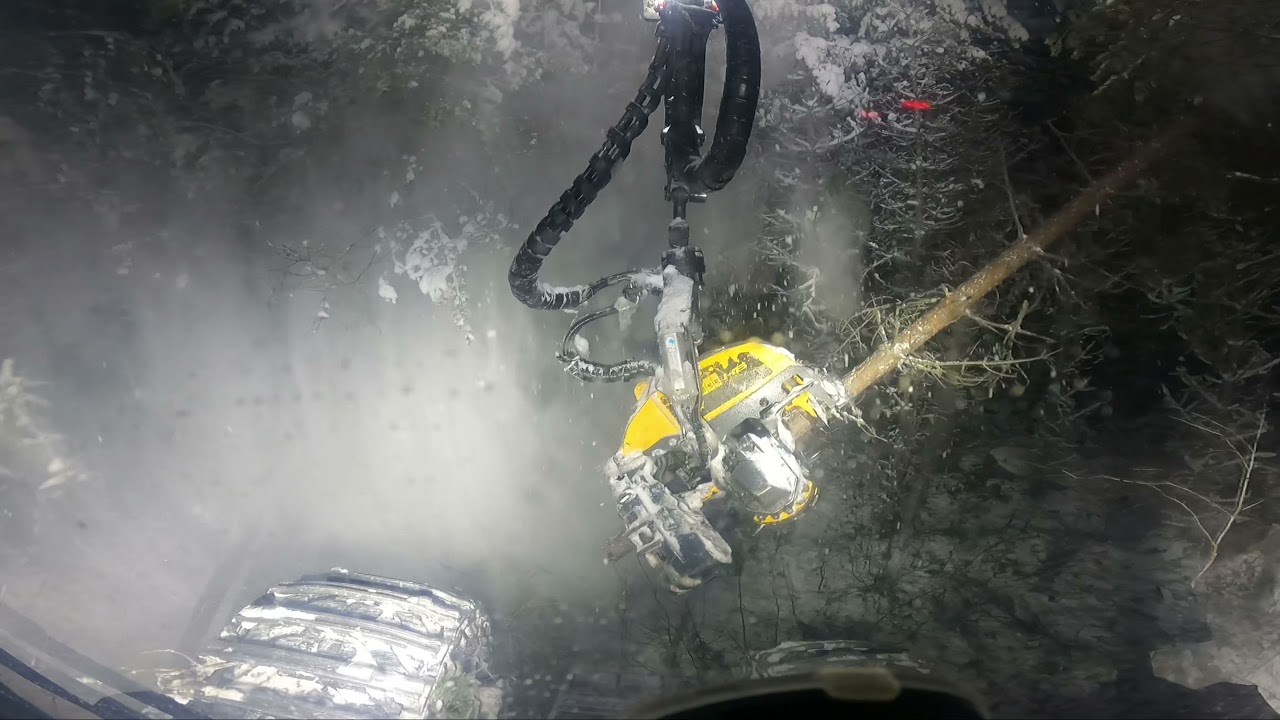 Harvennusta ja evhäitten syöntiä. Ponsse Scorpion H6