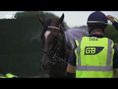 Derby second Hoo Ya Mal “thriving” ahead of Cazoo St Leger bid | George Boughey exclusive interview