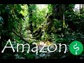 Yoi amazon tours  amazon lodge  colombia leticia