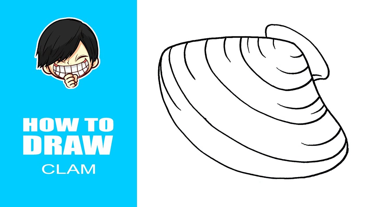 How To Draw A Clam Step By Step
