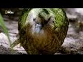 Nat Geo Wild - Secrets of the wild - Lost Worlds / Тайните на дивата природа - Изгубени светове