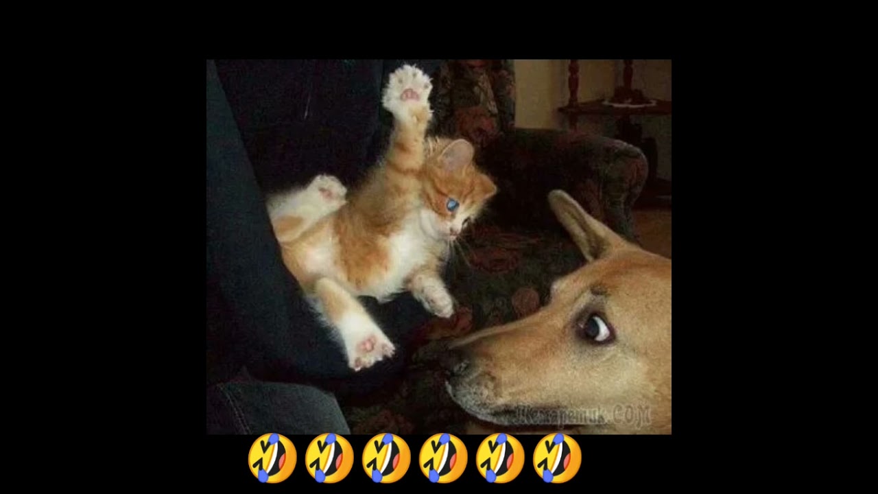 ото тяи правда веть 🤣🤣🤣🤣🤣