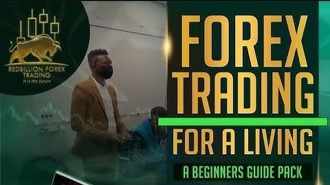 how to use redbillion software/ system