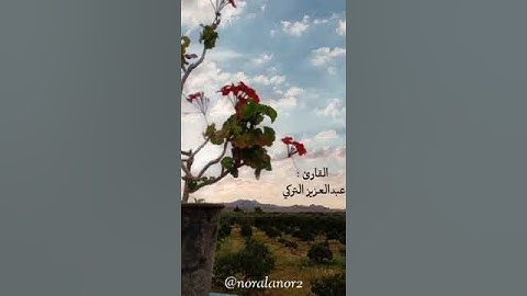 (أَلَا إِنَّ نَصْرَ اللَّهِ قَرِيبٌ) - القارئ عبدالعزيز التركي