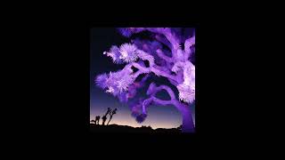 Yard Of Blondes Another Postcard From Joshua Tree Official Audio - You & I