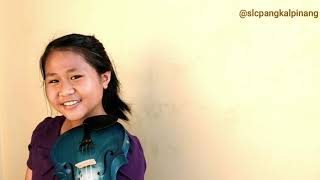 CINTA SEJATI  by BCL (VIOLIN COVER)