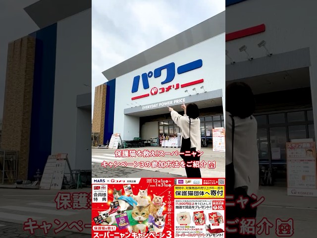 スーパーニャンキャンペーン開催中 #コメリ #スーパーニャンキャンペーン3 #うちの子スーパーニャン #保護猫支援