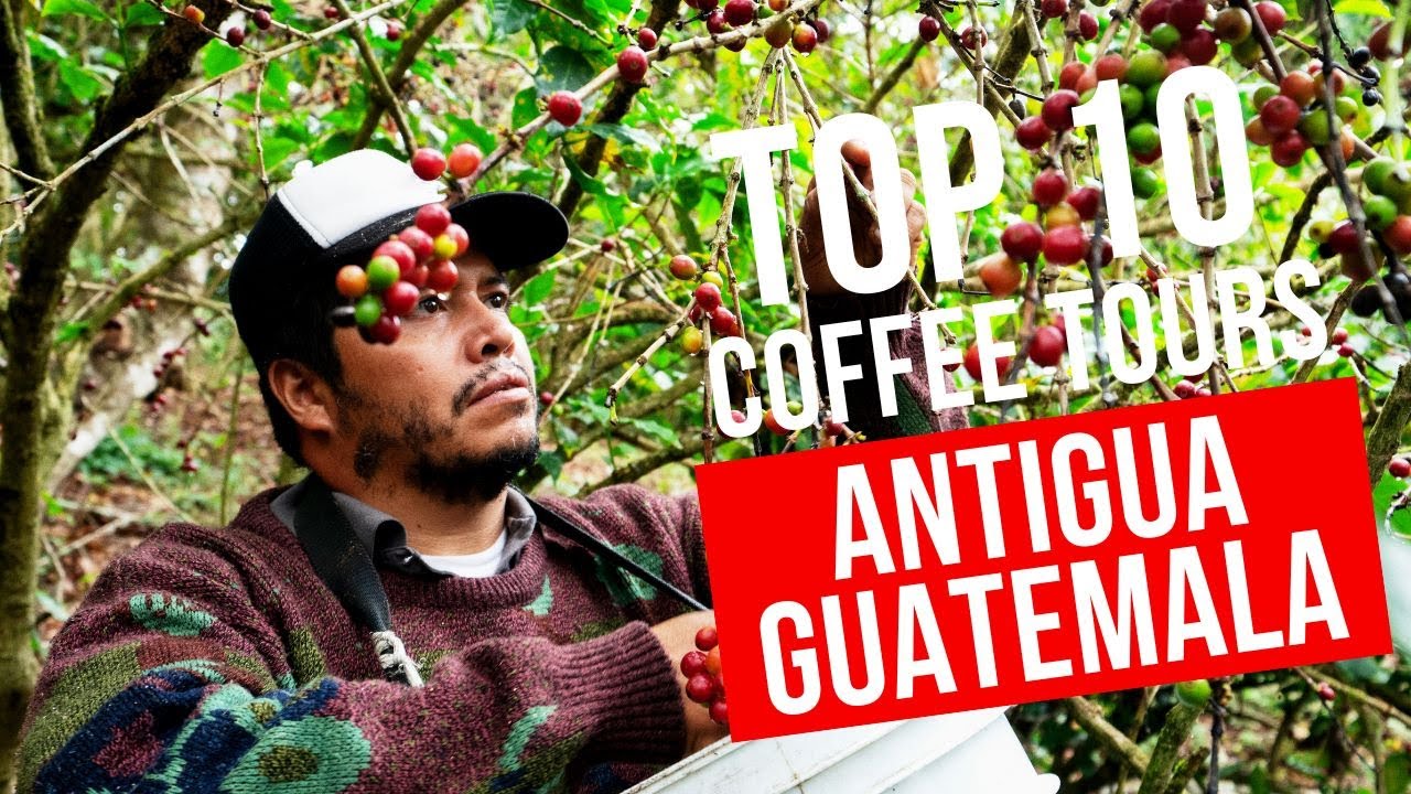 10-best-coffee-tours-antigua-guatemala-youtube