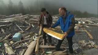 Tsunami debris clean-up on U.S. shores could take years