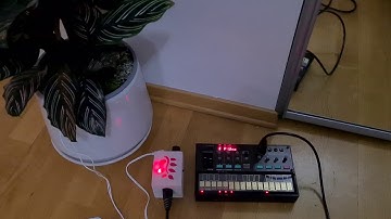 Plant to MIDI biodata sonification device to Korg Volca FM