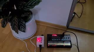 Plant to MIDI biodata sonification device to Korg Volca FM
