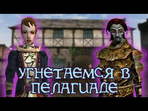 Чем заняться в Пелагиаде? | The Elder Scrolls III: Morrowind + Долой Патриархат! (FoxyMix's Mix )