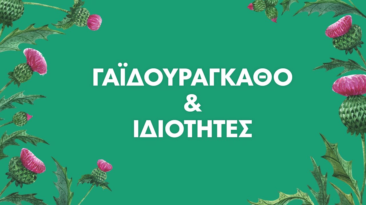 Γαϊδουράγκαθο | Ιδιότητες