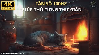 NHẠC THƯ GIẢN CHO THÚ CƯNG TẦN SỐ 100HZ GIÚP MÈO NGỦ NGON screenshot 2