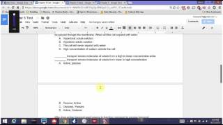 Aaron Massuda-Chapter 5 Practice Test review