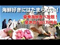 【徳島県鳴門1泊２日旅】海鮮好きに絶対おススメのホテル！大迫力の解体ショーでマグロ一匹食べ放題の豪華バイキング｜１泊１万円台の神コスパはアオアヲナルトリゾート
