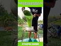 Amazing Traditional Green Noodle Maker Process! #shorts #food #satisfying