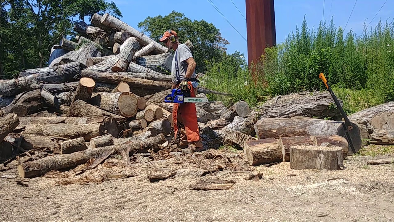 Holzfforma G255 MS 250 clone review. YouTube