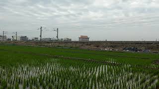 【絕景】2019.02.19 臺鐵6902次行包專車經過斗南北