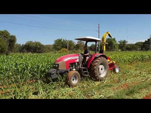 Double Chop Forage