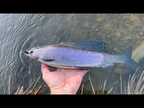 Fishing In The Yukon EPISODE 3