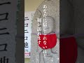 ※見るだけで悩みが嘘のように無くなる❗️❓幸せの前兆です✨　#Shorts