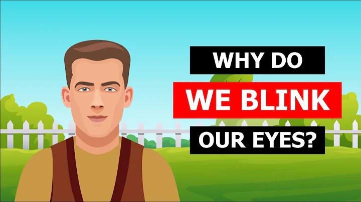Why do we blink our eyes? - Cause and prevention of excessive blinking | AZ Science