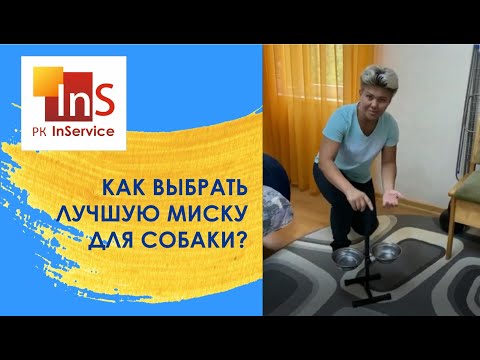 Как выбрать лучшую миску для собаки?