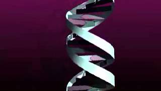 a closer look at DNA LBYMATB
