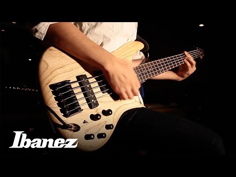 ibanez-sr650--sr-bass-feat.-nordstrand™-cnd-p/j-pickups-