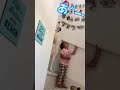 ツバメと3兄弟