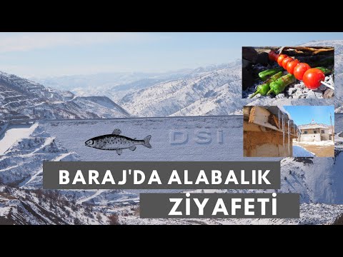 Video: Bozkır Kriket - Tehlikeli Bir Yemek