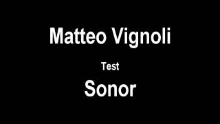 Test  SONOR HYBRID  Matteo vignoli