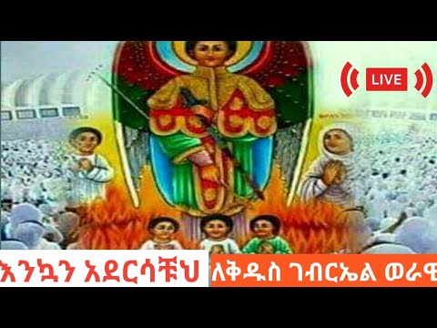 ቪዲዮ: የቅዱስ ሬጅስ ቦራ ቦራ ሪዞርት ግምገማ