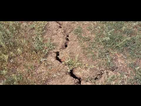 Засуха 2021 нас добьёт/  Сильная жара стоит  в Волгоградской области😢